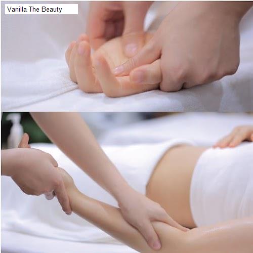Cảnh quan Vanilla The Beauty
