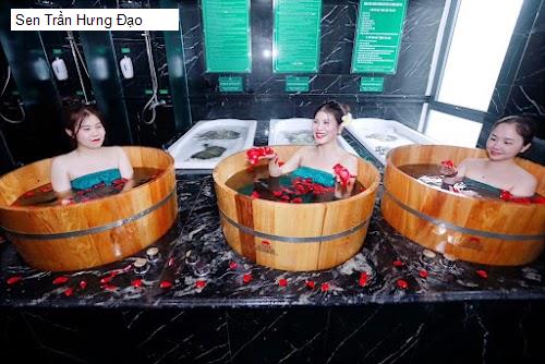 Bảng giá Sen Trần Hưng Đạo
