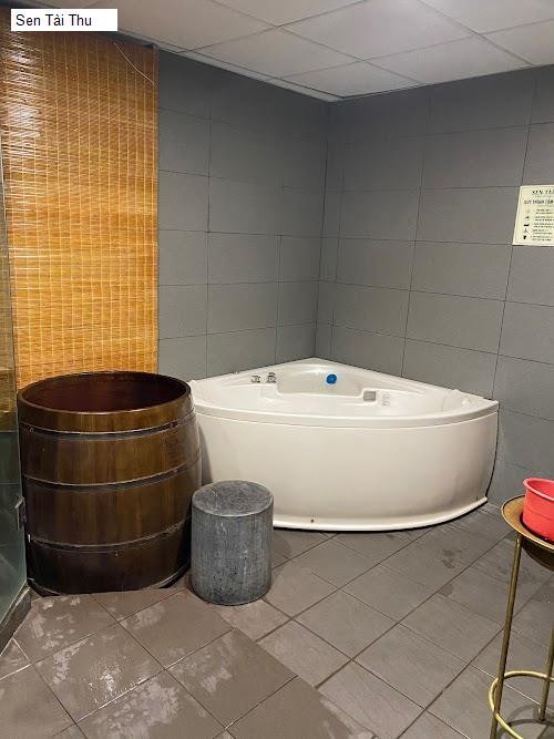 Chất lượng Sen Tài Thu