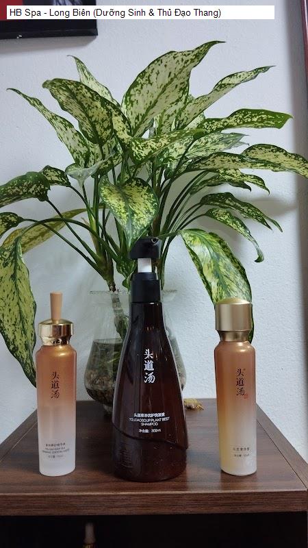 Nội thât HB Spa - Long Biên (Dưỡng Sinh & Thủ Đạo Thang)