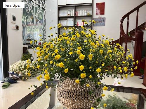 Cảnh quan Tera Spa