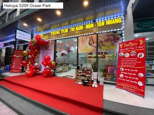 Helispa S209 Ocean Park