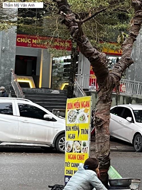 Thẩm Mỹ Vân Anh