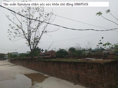 Tảo soắn Spirulyna chăm sóc sức khỏe chủ động XINHTUOI