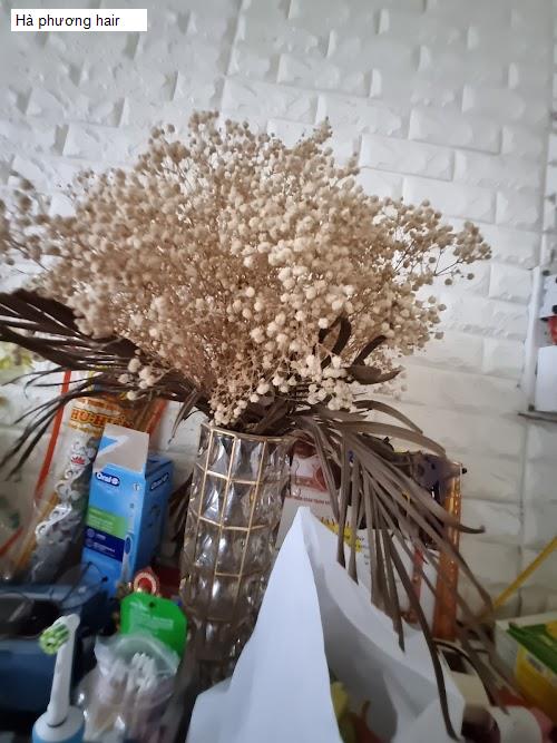 Hà phương hair
